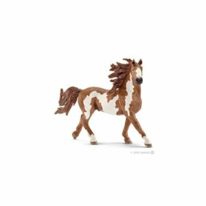 Schleich-Pinto pastuv