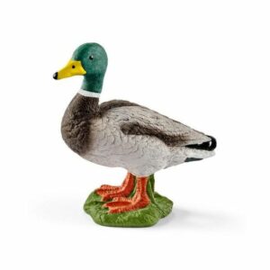 Schleich-Patak
