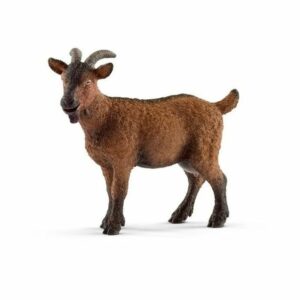Schleich-Koza