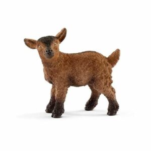 Schleich-Jare