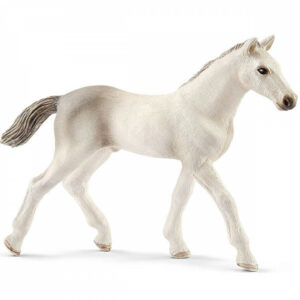 Schleich-Holsteiner zdrebe
