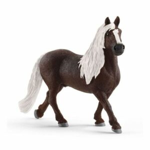 Schleich-Pastuv, Black forest
