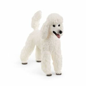 Schleich-Pudla
