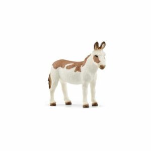 Schleich-Magarence