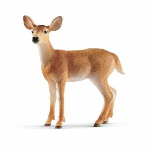 Schleich-Srna
