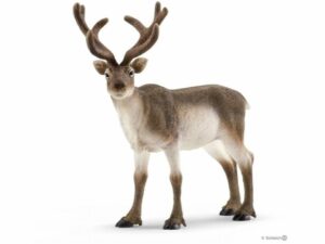 Schleich-Irvas