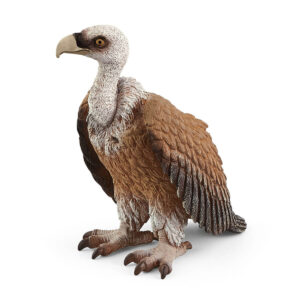 Schleich-Lesinar
