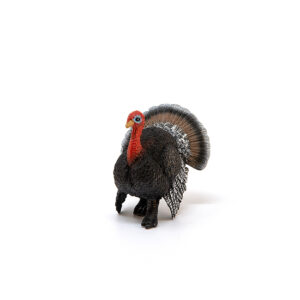 Schleich-Ćurka