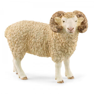 Schleich-Ovan