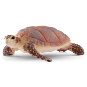 Schleich-Morska kornjaca