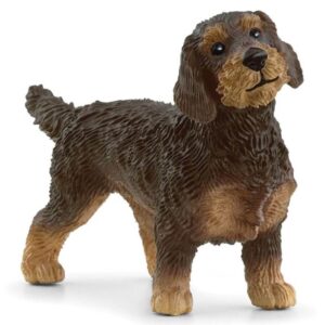 Schleich-Pas